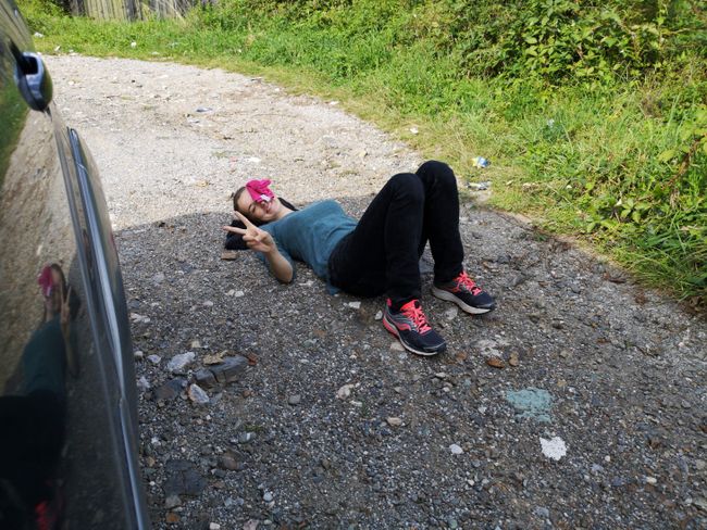 P4 Panorama Route: Lotti's KO after meeting the trunk door