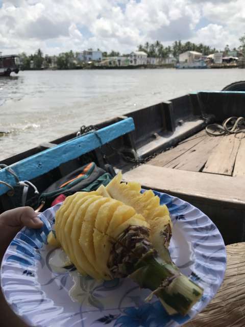 Mekong Delta and the Floating Markets
