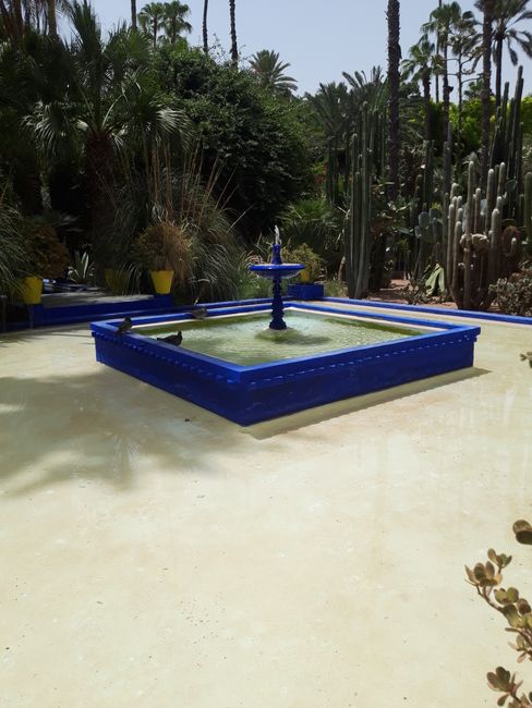 Cobalt blue magic fountain