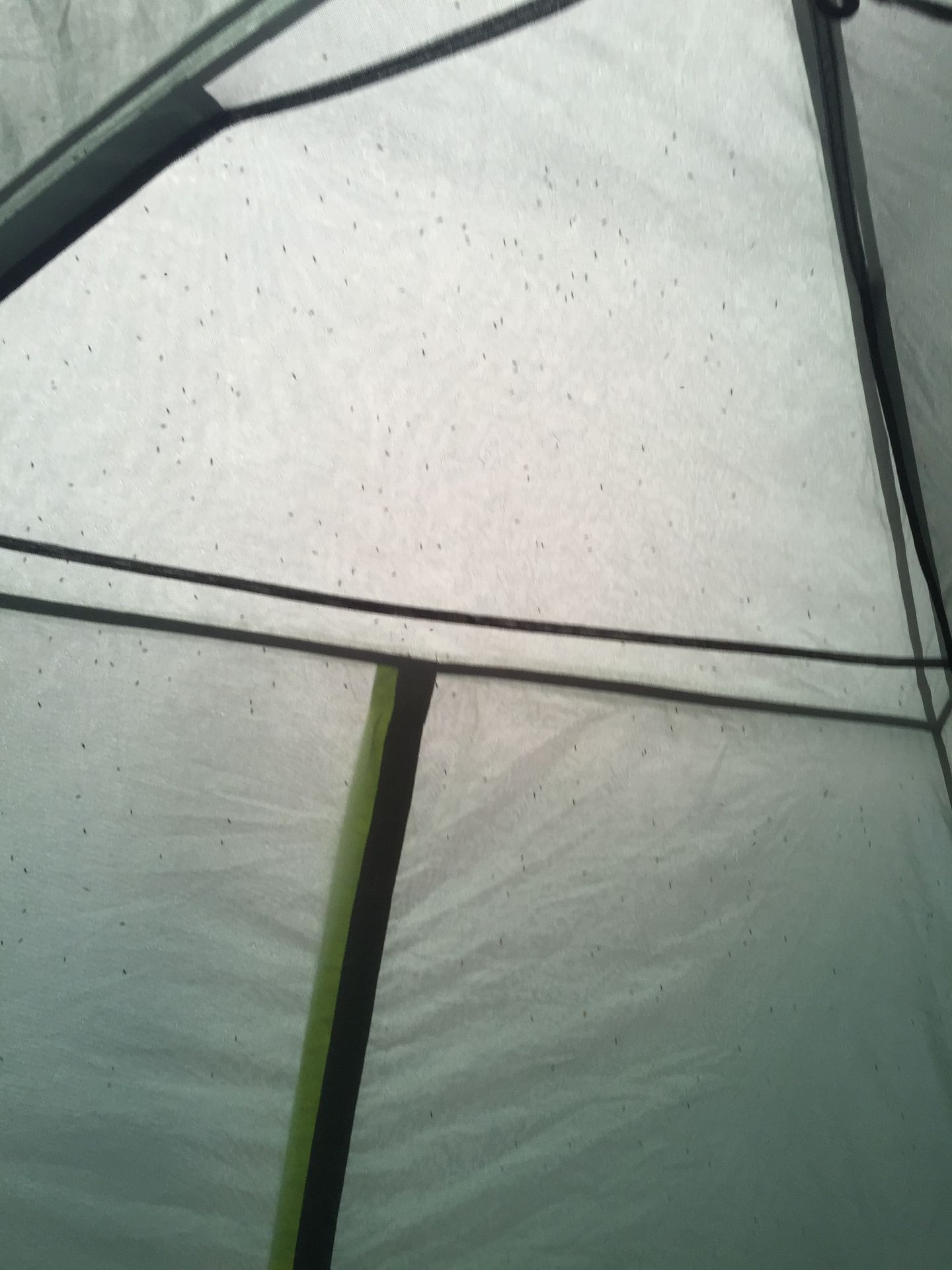 Hundreds of sandflies besieging the tent