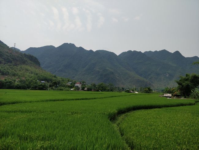 Mai Chau District