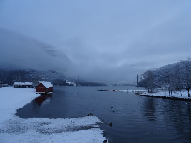 Nebel über dem Fjord