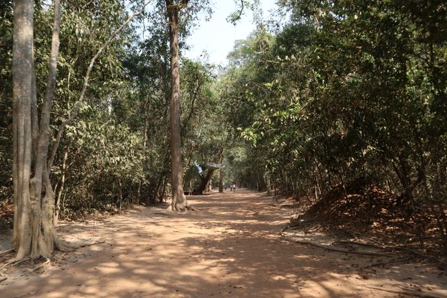 The path to Ta Phrom.