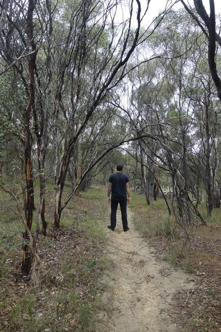 6.11.2018 - laufend Melbourne