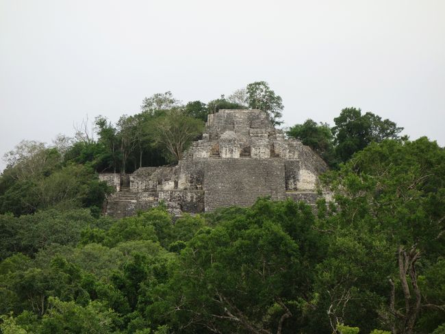 This is the remaining part of the full height and beauty, seen from another pyramid over the trees.