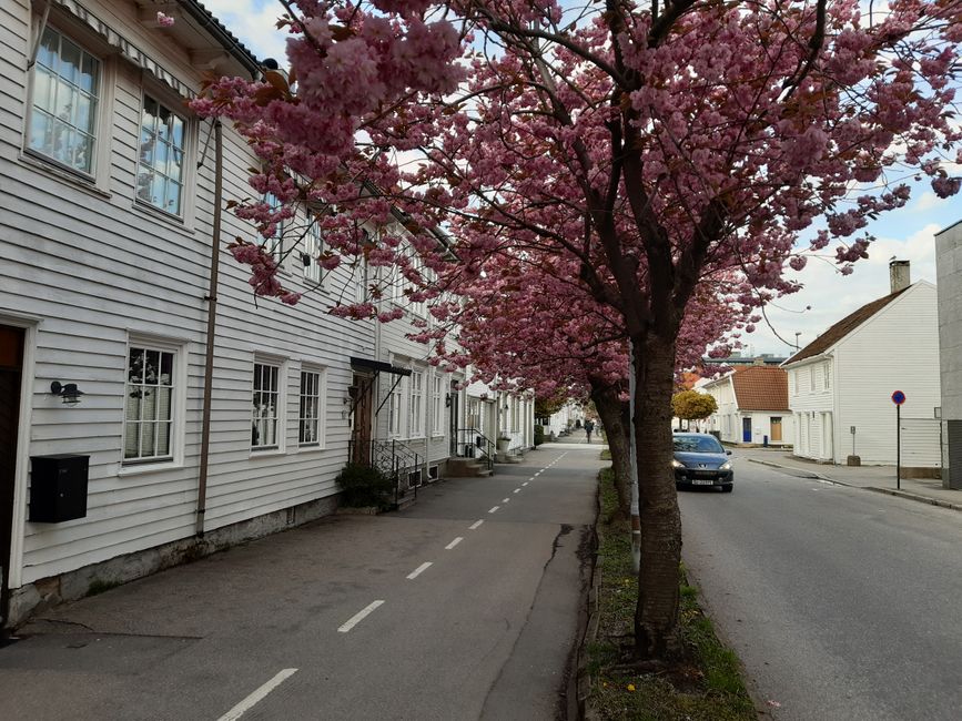 Frühling in Kristiansand