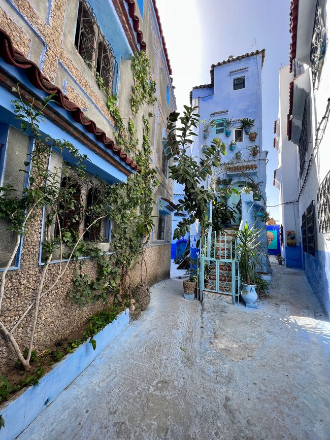 First stop: the blue city of Chefchaouen