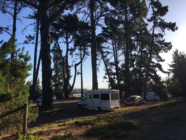 freedom campground 'Wairau Diversion' - near Blenheim