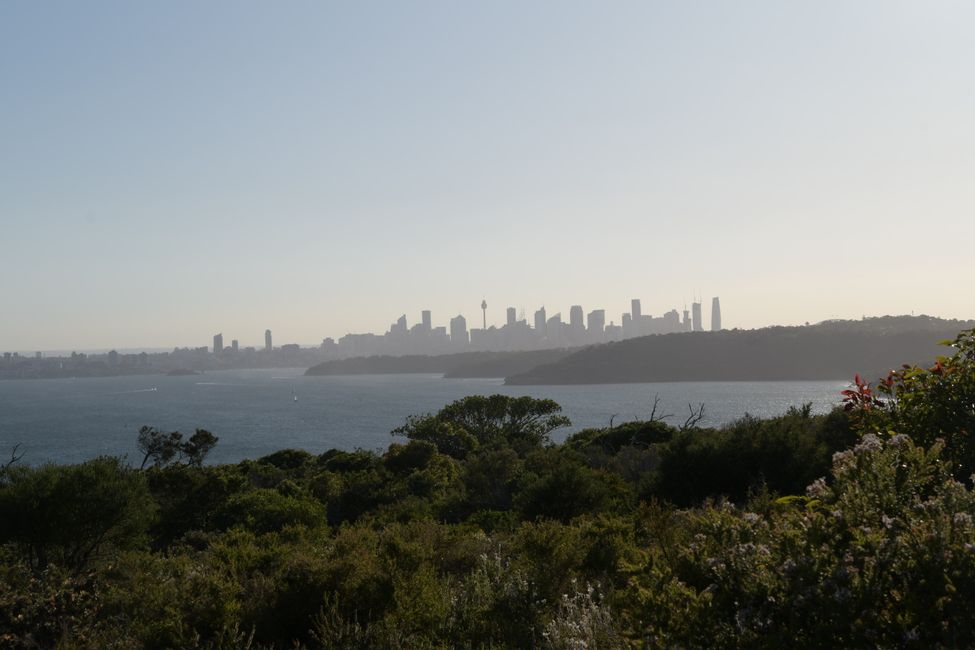 Manly - North Head Hike - City Lookout