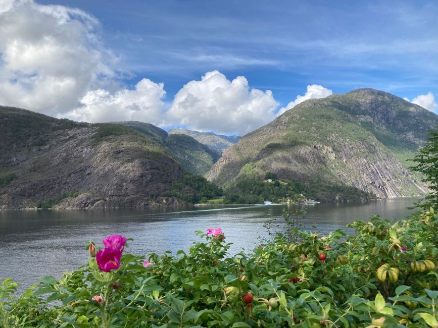 Langfoss - unten am Fjord