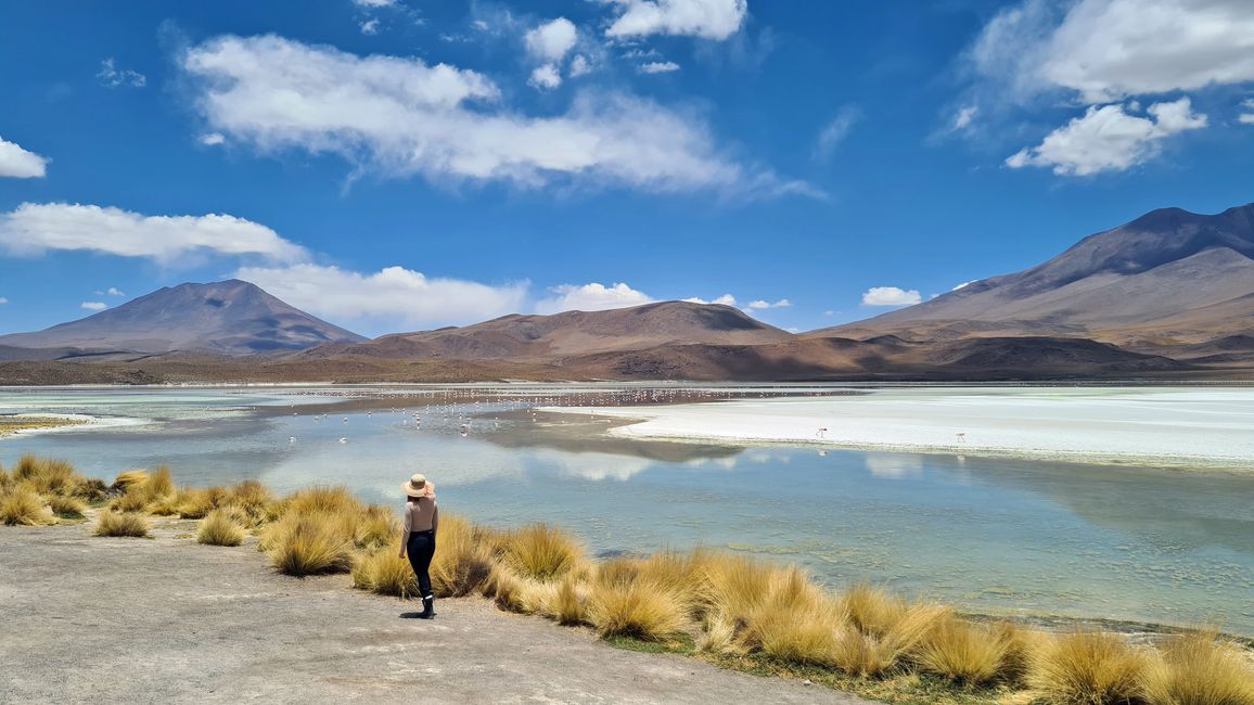 Die Steppenlandschaft rund um die Salzwüste von Uyuni ist mit sehenswerten Lagunen und einer spannenden Tierwelt ausgestattet.