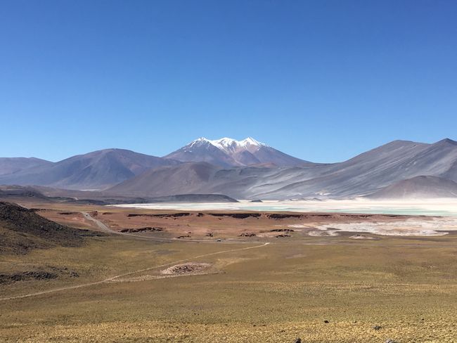 Laguna Aguas Calientes, San Pedro de Atacama