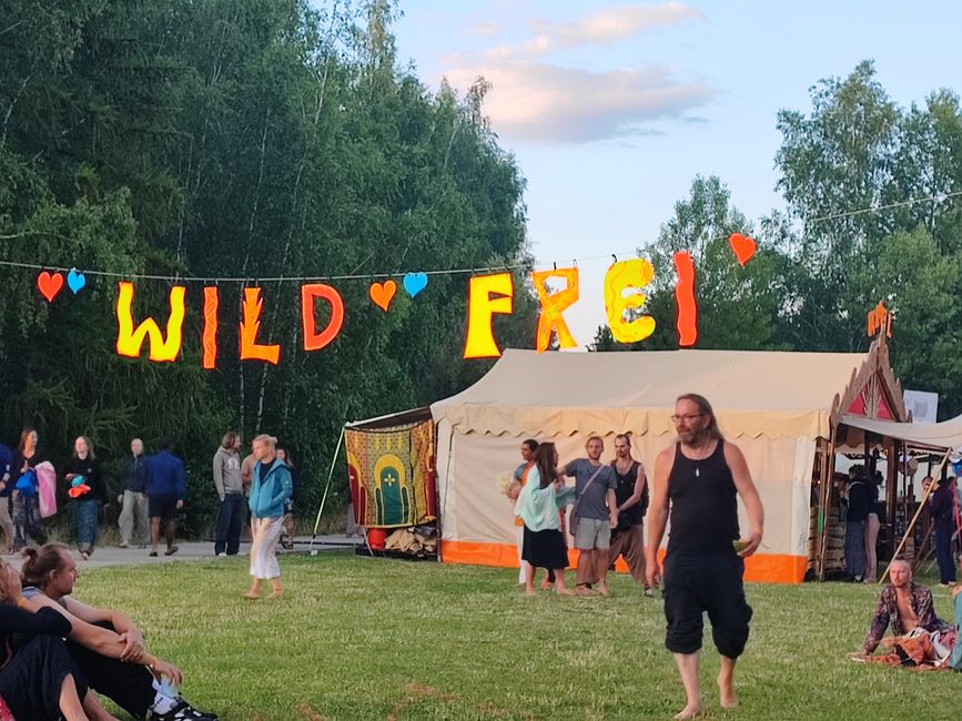Modern Hippies: Cat and Cow Festival: Hohenmölsen