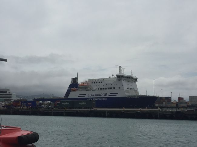 Family time Part 2 and the North Island of New Zealand
