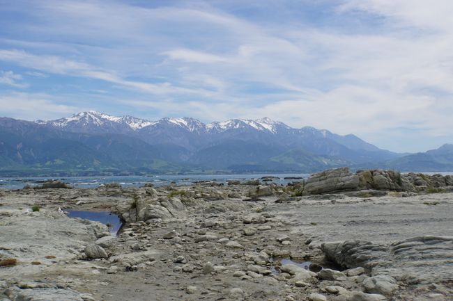 The remarkable Christchurch and the detour to Kaikoura