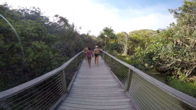 #04 - Noosa Heads & Fraser Island (07.11. - 14.11.16)