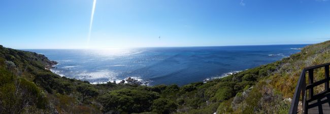 Cape Naturaliste - Whale Lookout