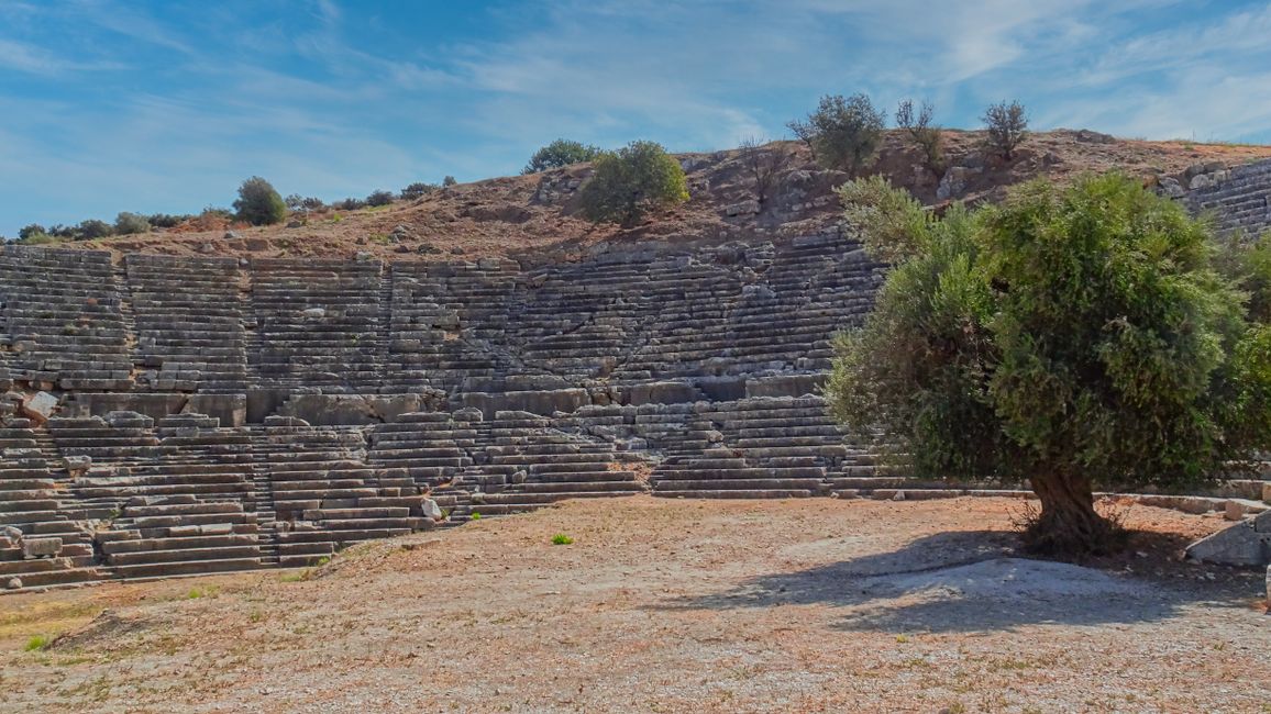 Theater in Letoon with Ancient Olive