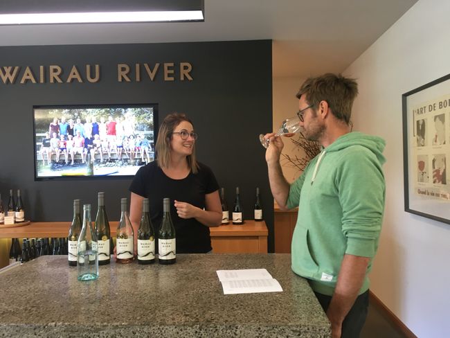 Blenheim - Weinverkostung beim Weingut Wairau River