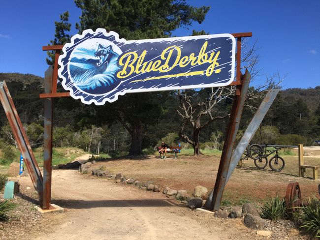 Derby - Blue Tier Mountain Bike Trail