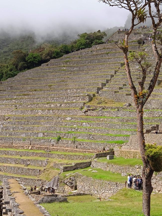 Terrazas, típicas de los incas