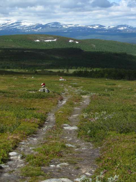 aktualisiert: Pieljekaise Nationalpark - Lappland: da wo der Weihnachtsmann wohnt
