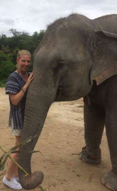 Chiang Mai - Temples, Massages, good food and elephants