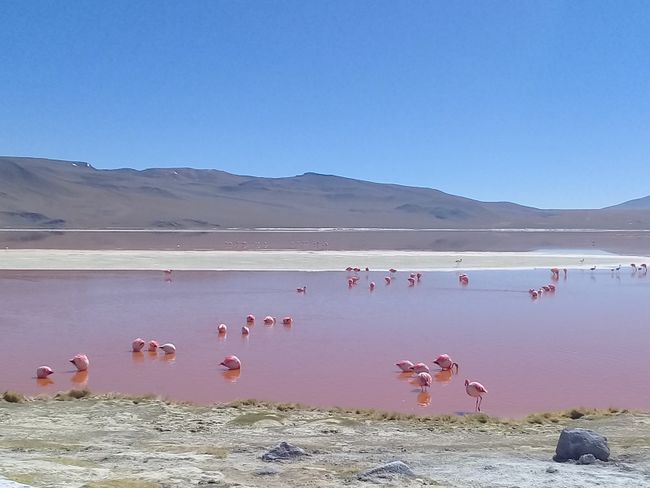 Uyuni - Die größte Salzwüste der Welt