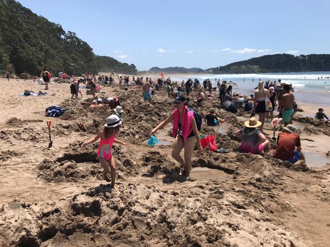 Family time Part 2 and the North Island of New Zealand
