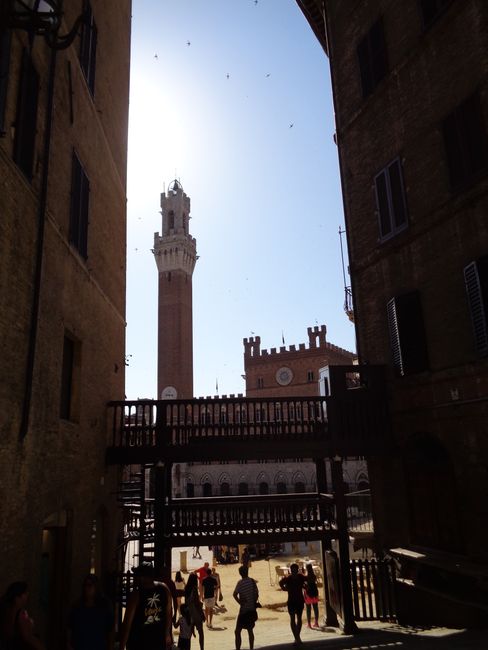 A Morning in Siena