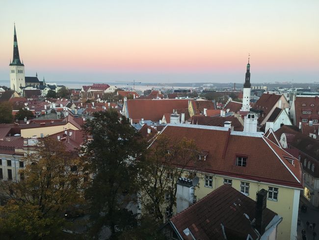Baltics (Tallinn, Riga, Vilnius)