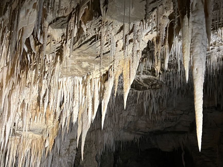 North Island - Waitomo - Ruakuri Cave