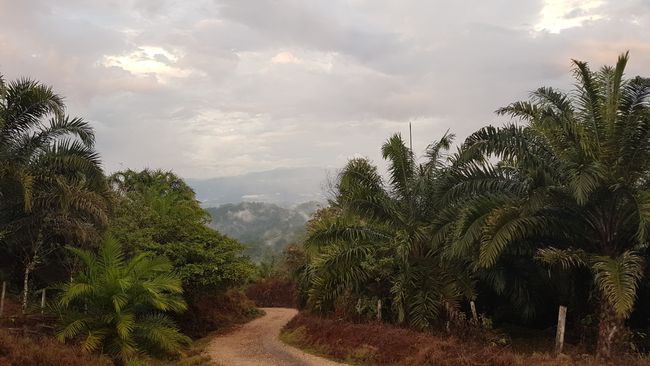 Osa Süden von Costa Rica