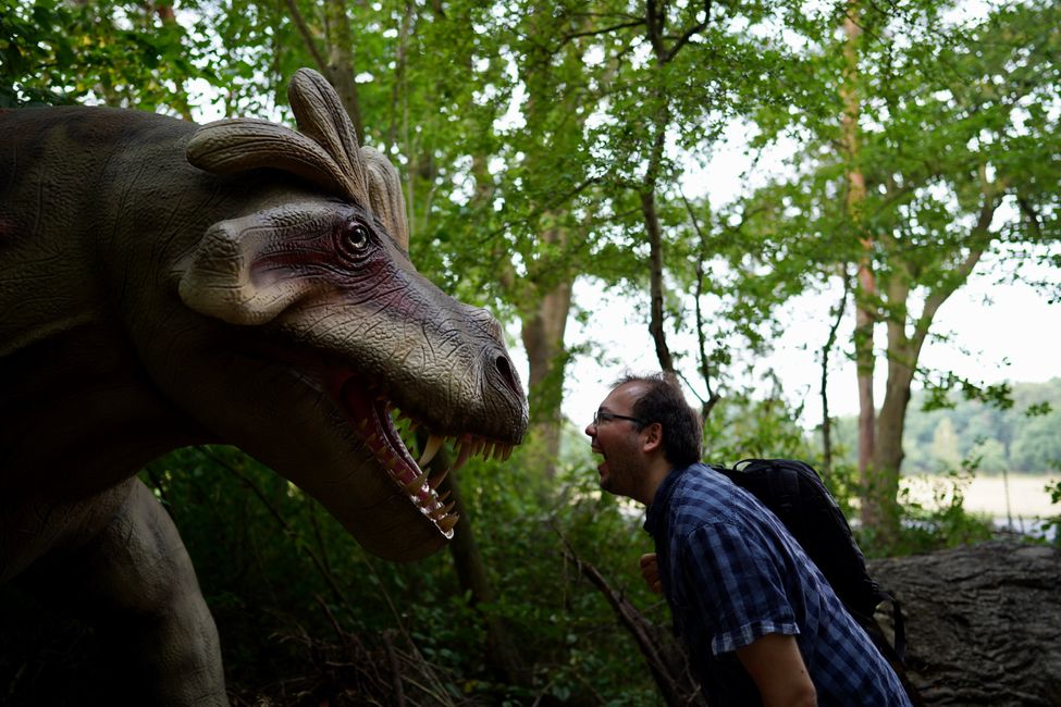 Tag 4: Ich glaub, die Dinos sind da!