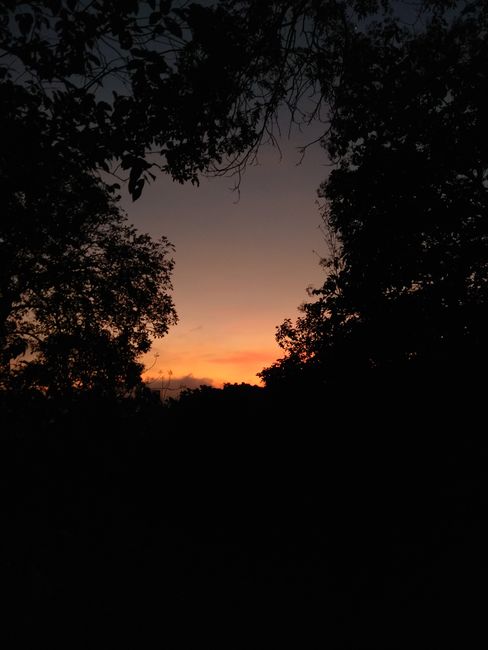 Sonnenaufgang um 5 Uhr im Meditations Center