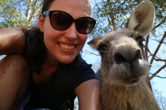 Selfie with kangaroo