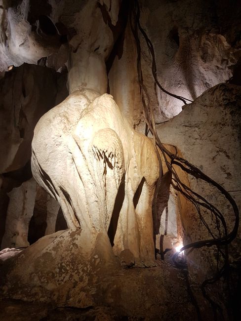 Interessante Tropfsteinformation in den Capricorn Caves