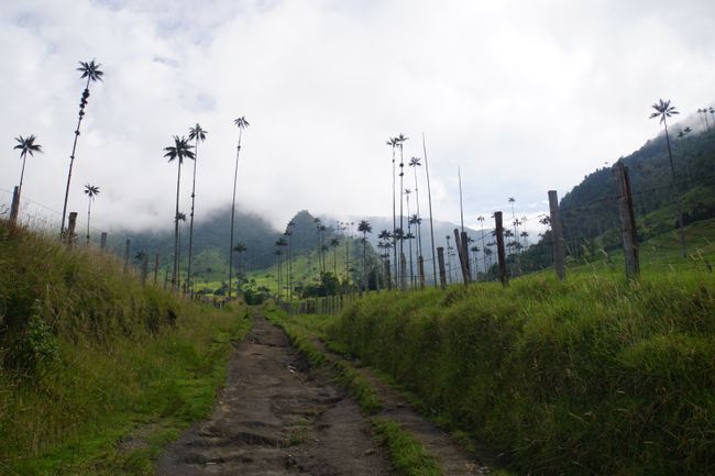 In the coffee triangle of Colombia - Salento