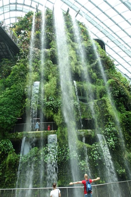 waterfall in the Cloud Forest