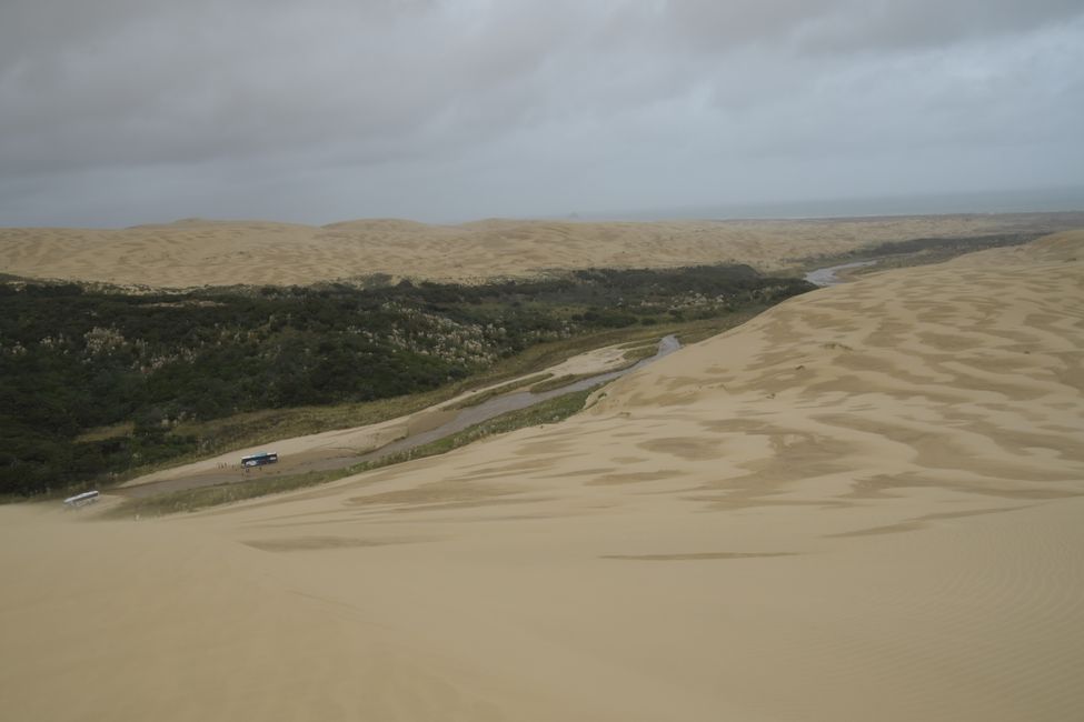 North Island - Northland - North of the North - Te Paki Sand Dunes