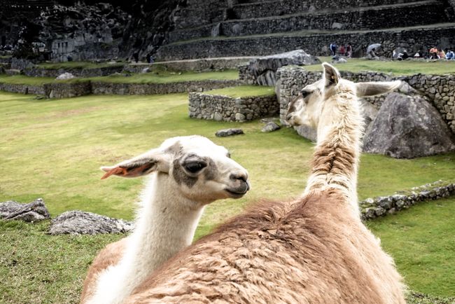 Machu Picchu & Montaña - the Sublime but also highly commercialized