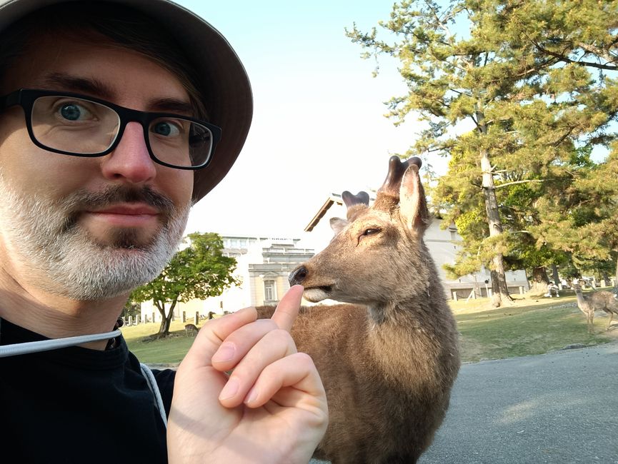 Nara - Oh deer!