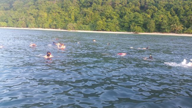 Qallenarlam on snorkeling trip