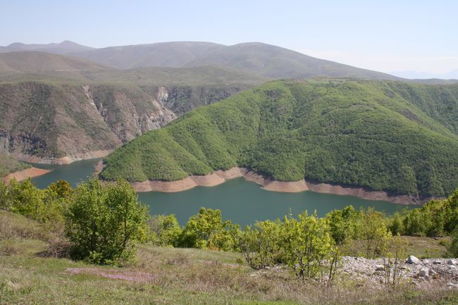 Wild Albania