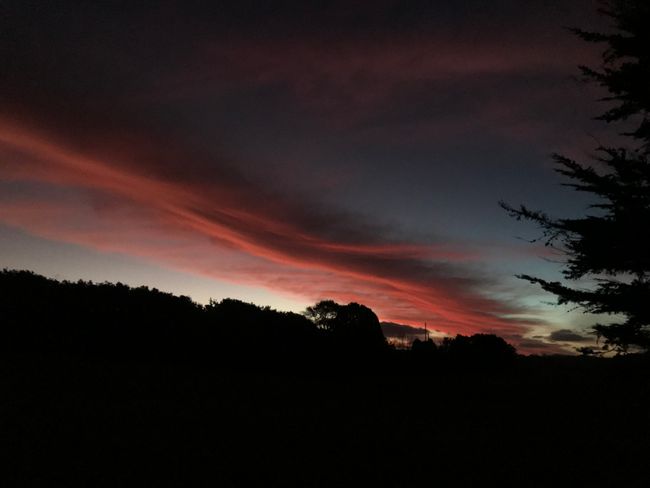 Sonnenuntergang im Te Toror Reserve