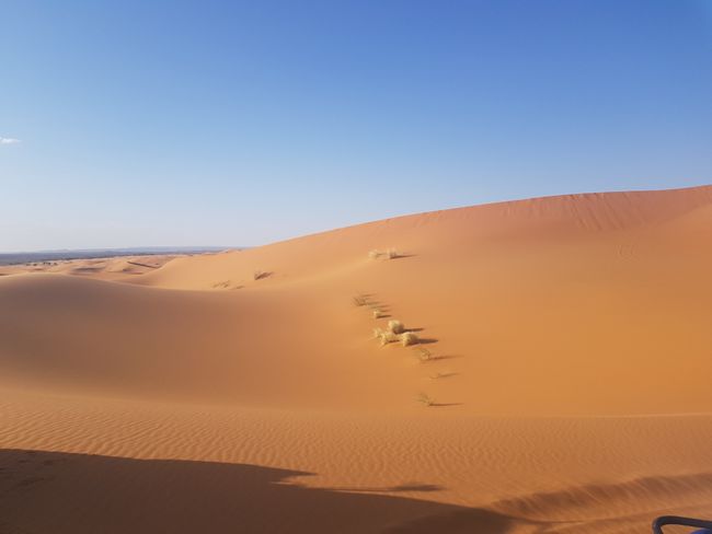 Eine der unzähligen Dünen der Sahara