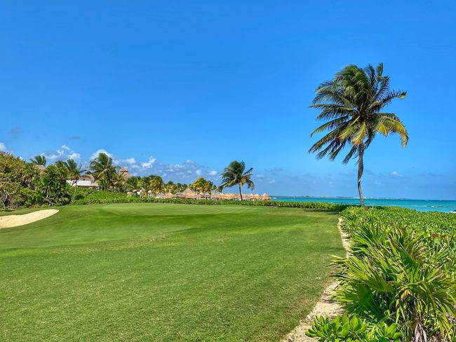The Mayacoba Golf Course is just around the corner ⛳️.