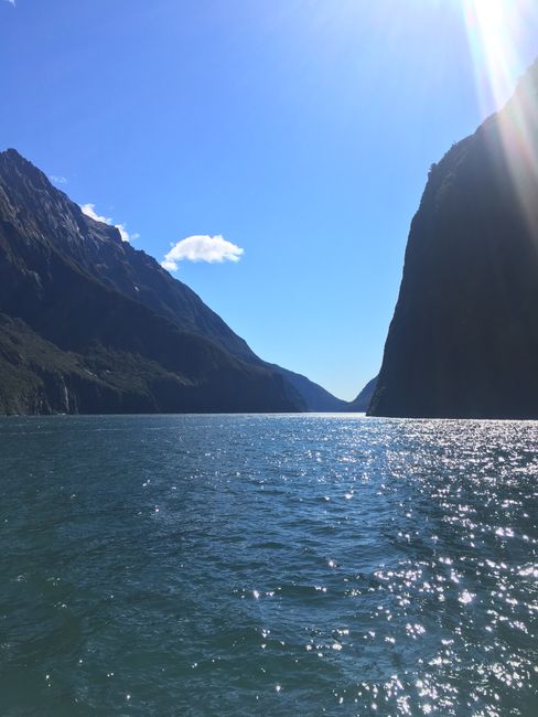 Milford Sound - a dream of fjord ☀️🏞