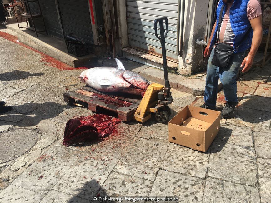 Der Thunfisch wurde live auf der Straße geschlachtet