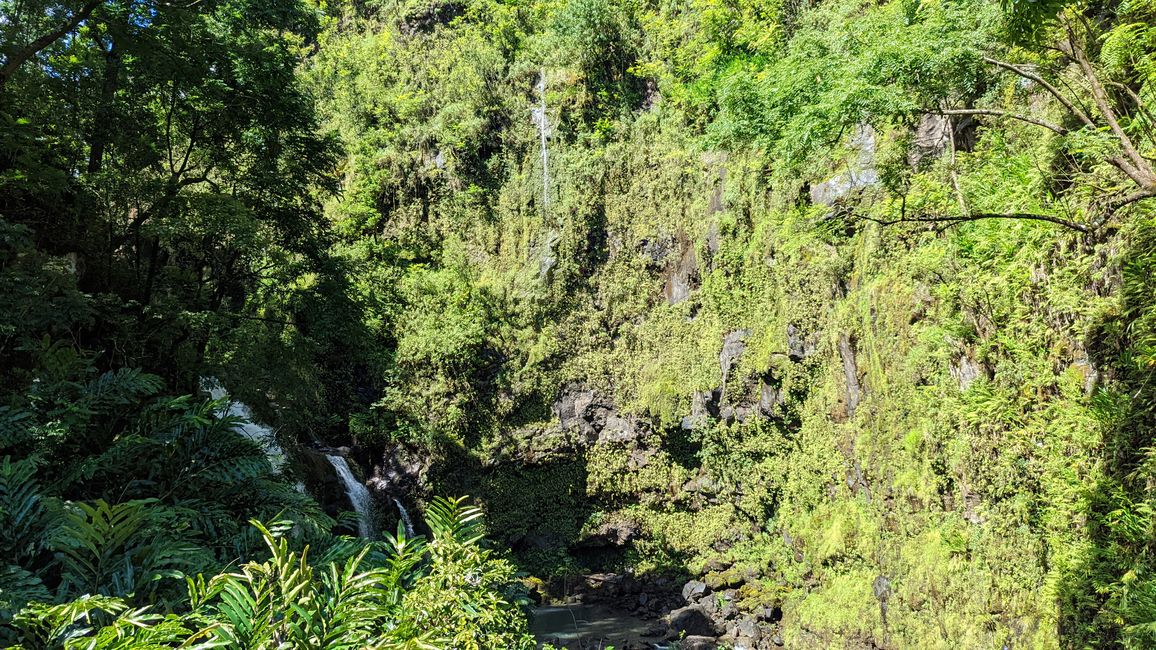 Tag 05 Maui – Road to Hana